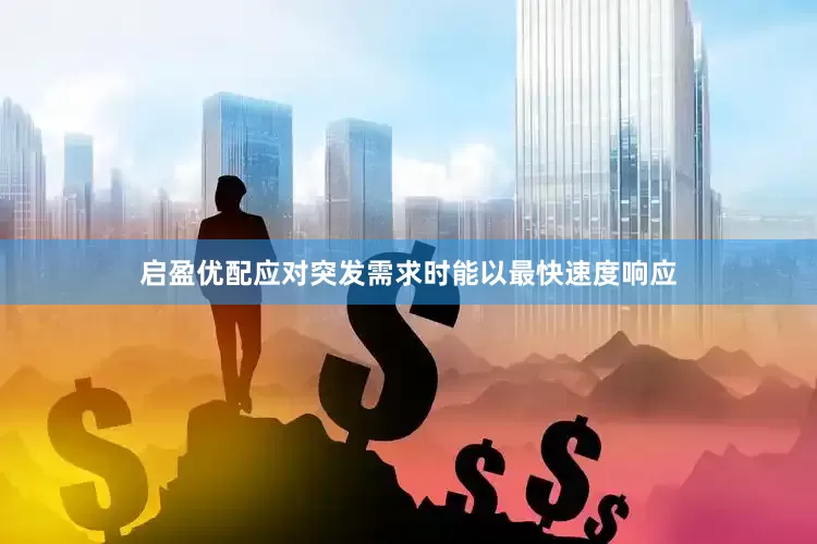 启盈优配应对突发需求时能以最快速度响应