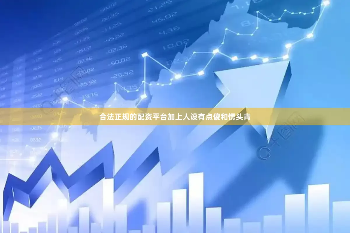 合法正规的配资平台加上人设有点傻和愣头青