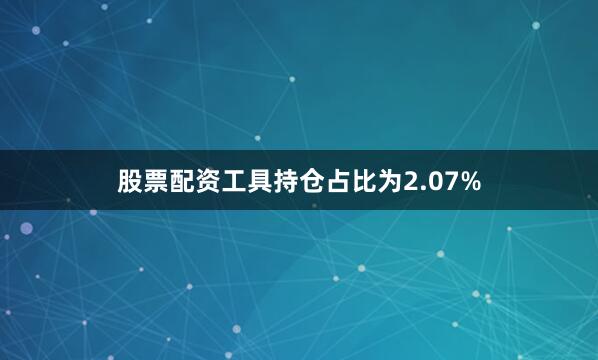 股票配资工具持仓占比为2.07%