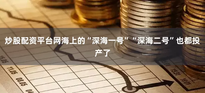 炒股配资平台网海上的“深海一号”“深海二号”也都投产了