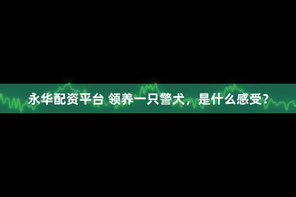 永华配资平台 领养一只警犬，是什么感受？