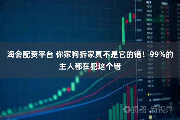 海会配资平台 你家狗拆家真不是它的错！99%的主人都在犯这个错
