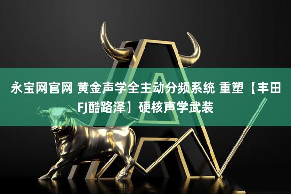 永宝网官网 黄金声学全主动分频系统 重塑【丰田FJ酷路泽】硬核声学武装